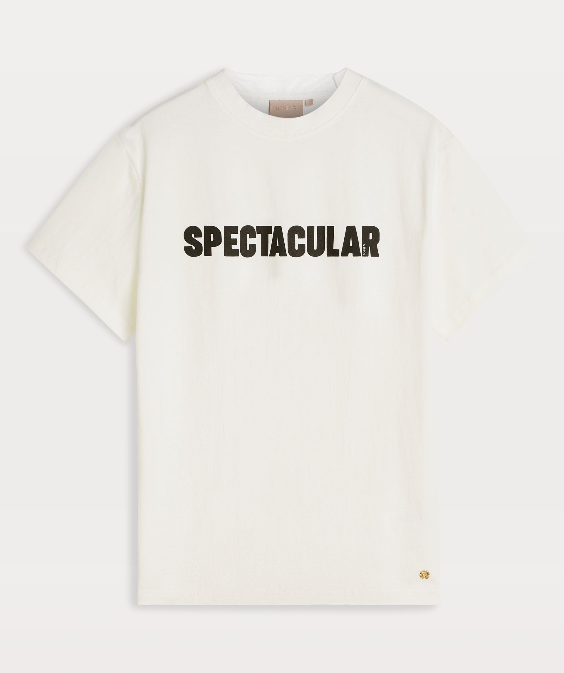 ROXY SPECTACULAR Oversized T-Shirt