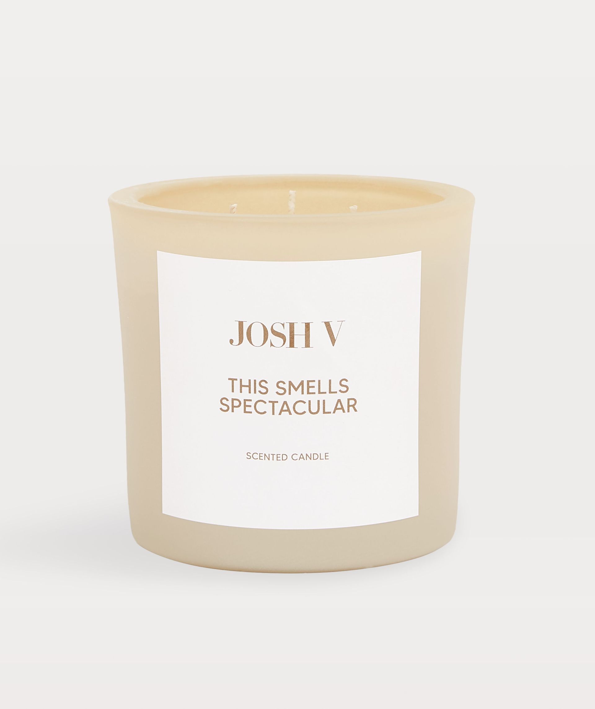 This Smells Spectacular scented candle (L)