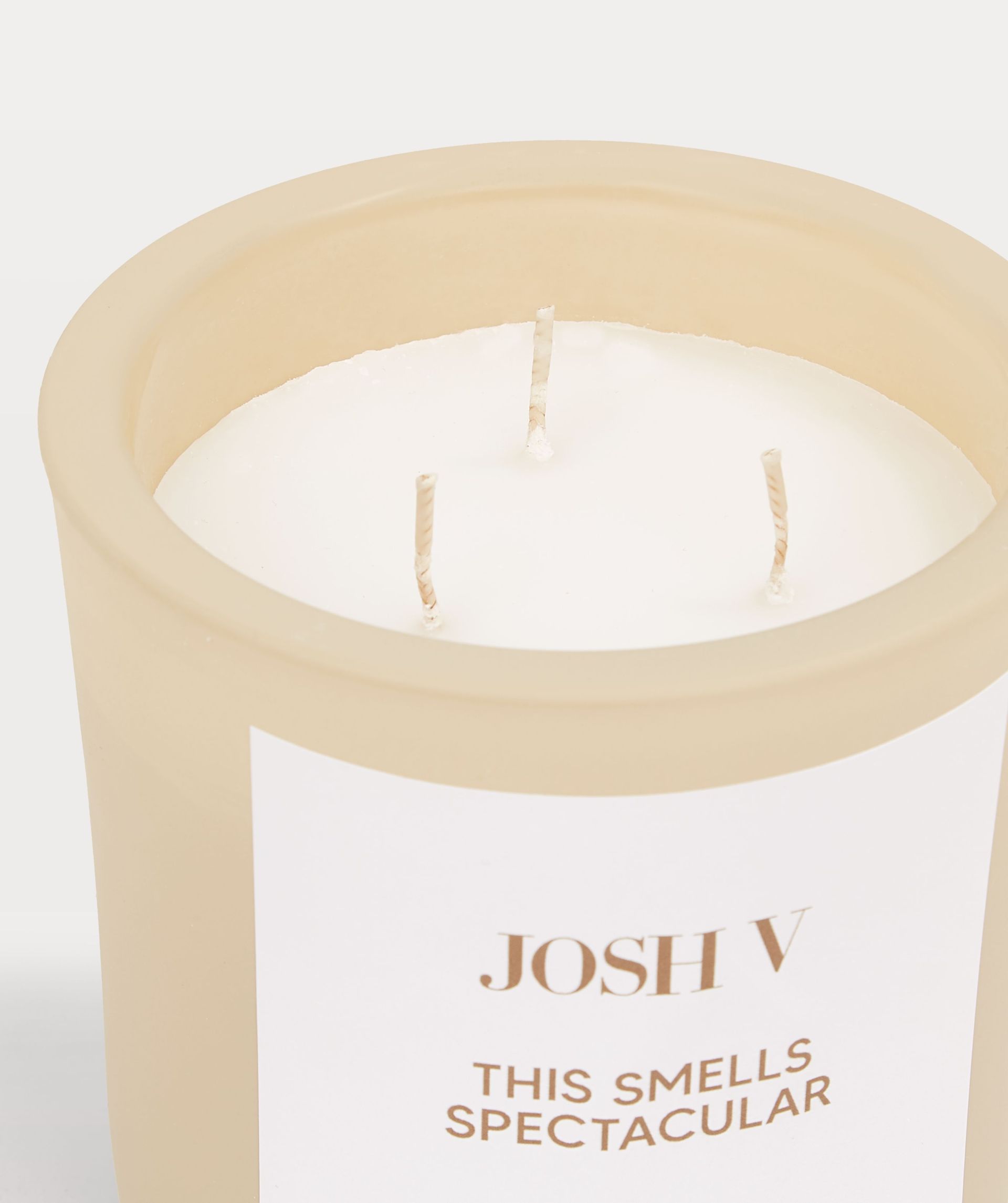 This Smells Spectacular scented candle (L)