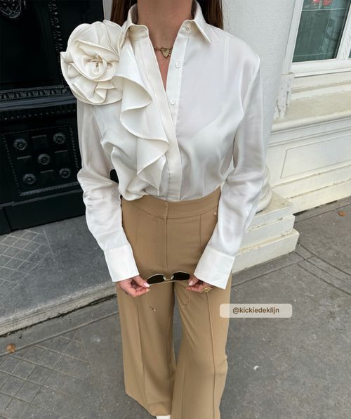 BRISA regular fit blouse in organza 