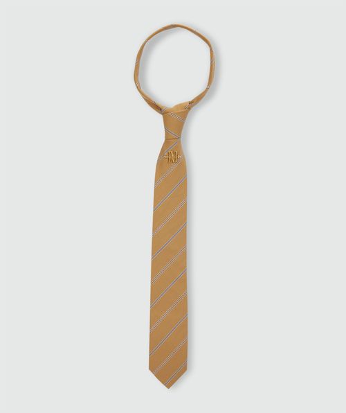 JV-ERICA striped tie